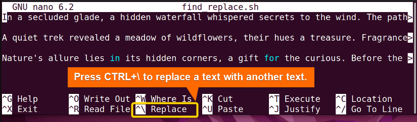Selecting Replace in nano editor to find and replace text