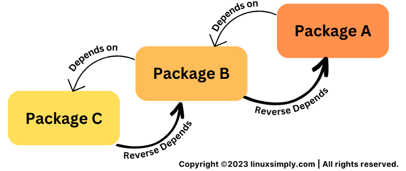 Dependency and Reverse Dependency among Package A, B, C visualized.