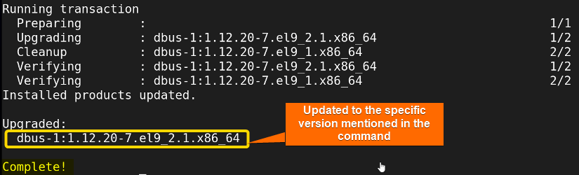 Shows that the specific package 'dbus' updated successfully to the specific version noted in the command.