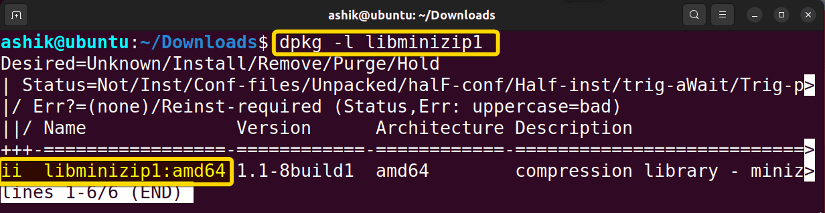 Checking status of libminizip1.