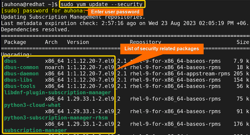 Only updates the security-related packages.