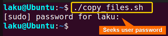Execute the script to copy files