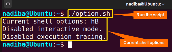 Current shell options for special variables in bash