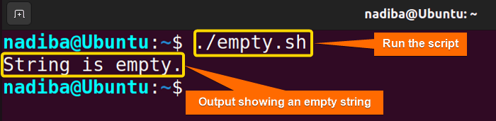 Output showing the assigned string variable is empty