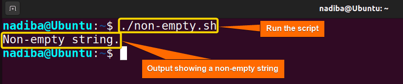 Output showing the assigned string variable is non-empty