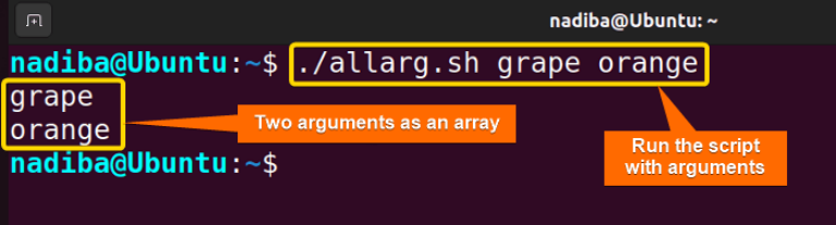 Special Variables in Bash [With 9 Practical Examples]