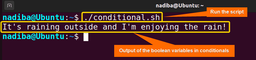 Output of Boolean variables in conditionals