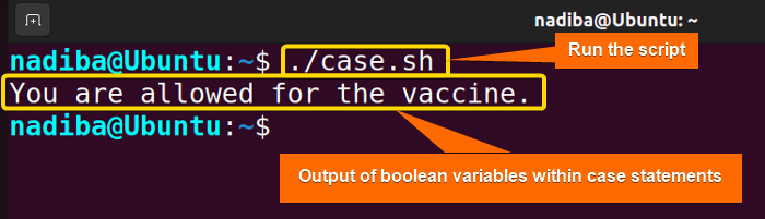 Output of Boolean variables within case statements