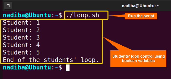 Output of Boolean variables for loop control