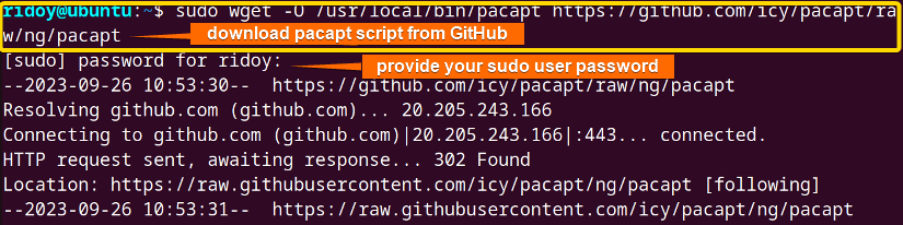 download pacapt script from GitHub