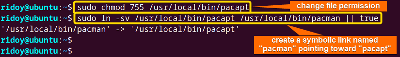 change pacapt script's permission and create pacman symbolic link with pacapt