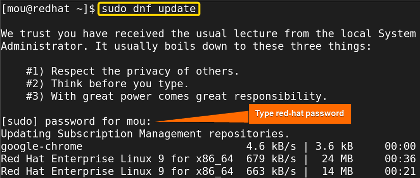 updating packages using dnf update command