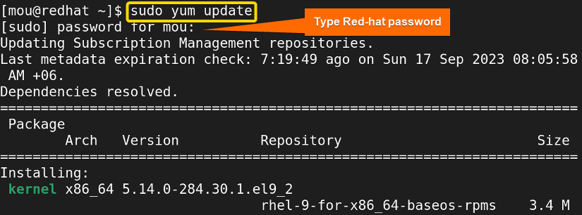 updating packages with yum update