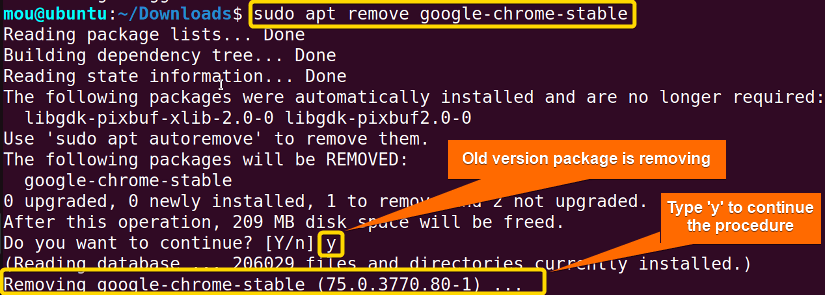 removing old version google chrome package