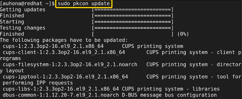 updates the RPM packages using sudo pkcon update command. 