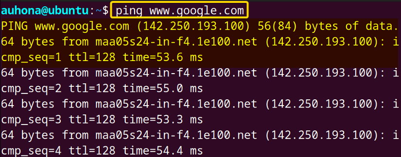 Sends packets to www.google.com to check the connection.