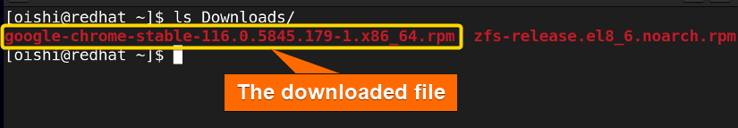 Shown the downloaded file