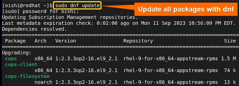 Update all the packages with dnf package manager