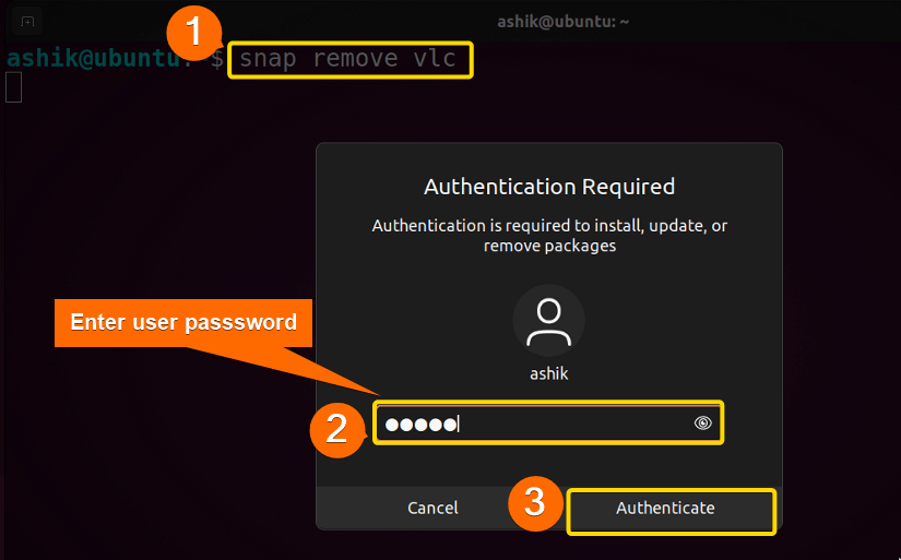 Entering user password to authenticate snap
