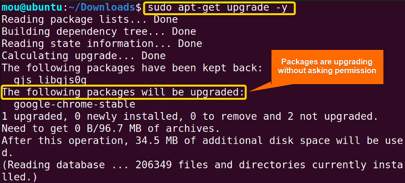 upgrading packages with '-y' option