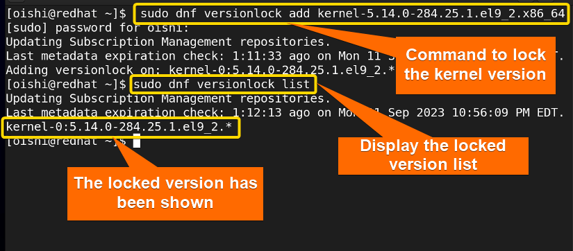 Adding a package version into version lock