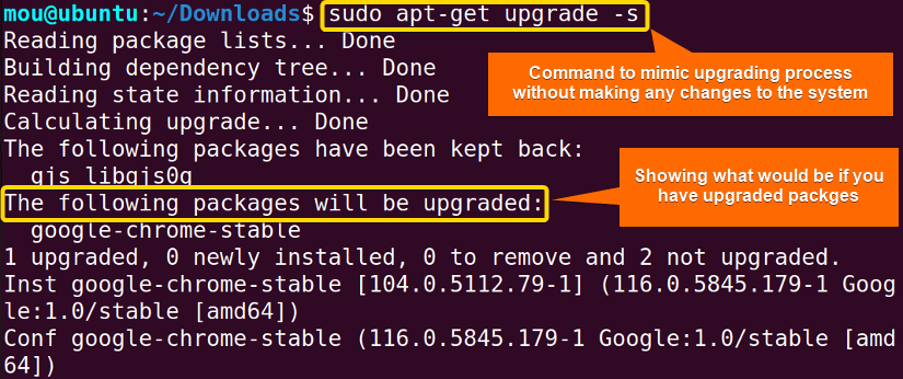 simulating sudo apt-get upgrade