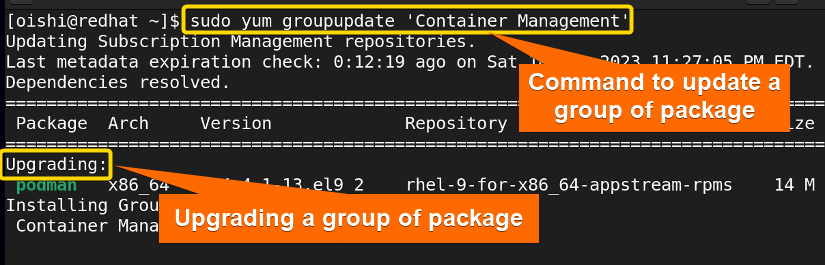 Update container group with yum