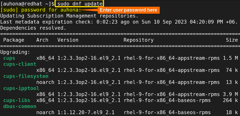 Updates the RPM packages using sudo dnf update command.
