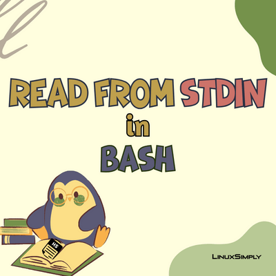 bash read from stdin