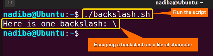 Output of escaping a backslash as a literal character in Bash