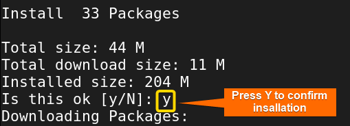 press Y to confirm multiple packages installation