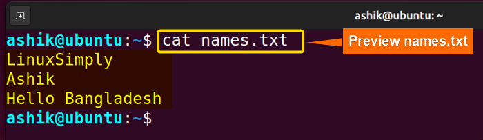 Previewing names.txt by cat command
