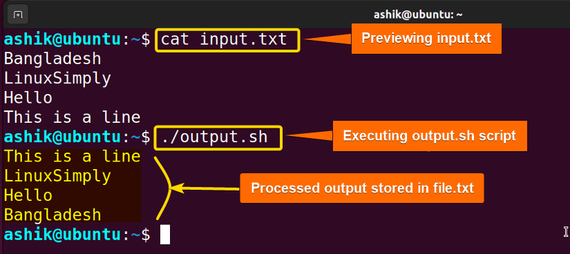 Executing output.sh script
