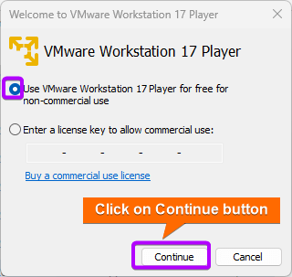 Choose the first option to continue the installation