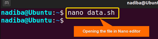 Opening the file in Nano text editor