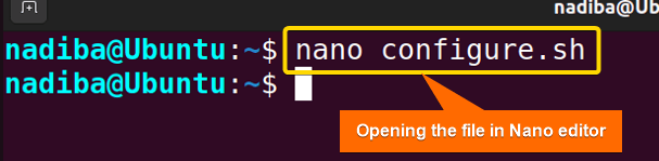 Opening the file in Nano text editor