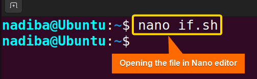 Opening the file in Nano text editor in bash