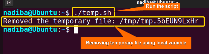Output of removing temporary file using local variable