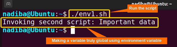 Output of making a variable truly global using environment variable