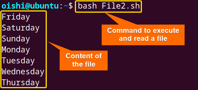 Read file in bash script with cat command