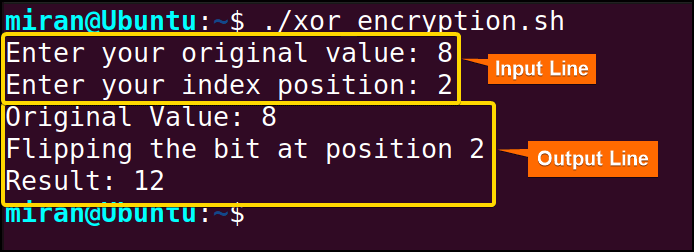 Using XOR Operator to Flip Individual Bits