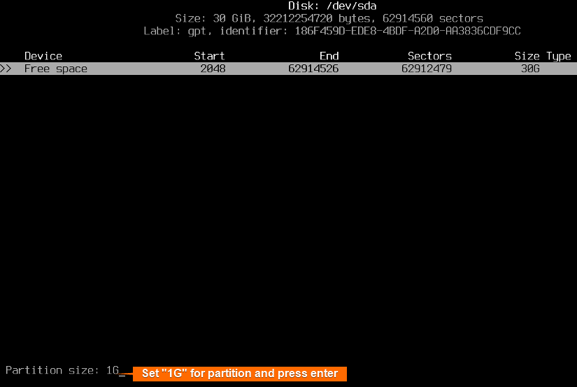 Set 1GB space for the first partition.