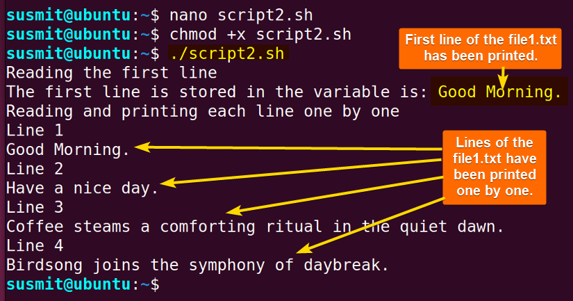 The bash script has read the first line from the file and each line one by one and printed them on the terminal.