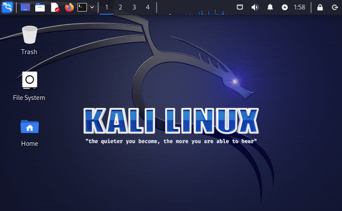 Kali Linux interface