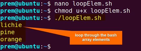 loop through the bash array elements