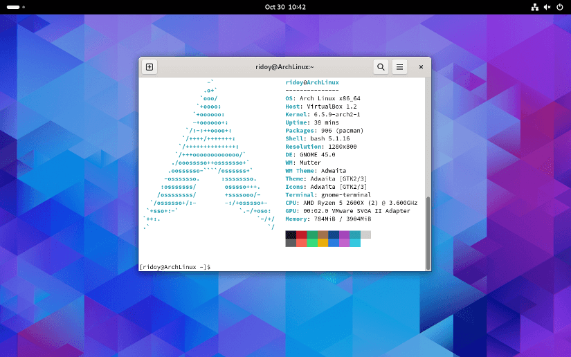checking system details using neofetch, gnome desktop environment running in arch linux vm