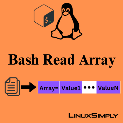 bash read array feature image