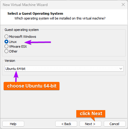 Select the guest operating system and specify the version.