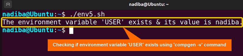 Checking if an environment variable 'USER' exists using 'compgen -v' command