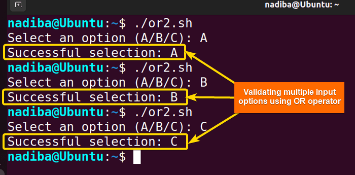 Validating multiple input options using OR operator